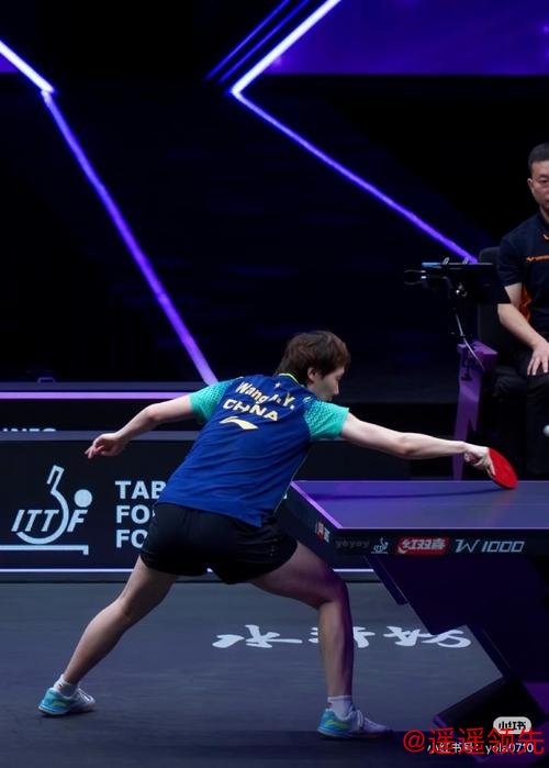 澳大利亚公开赛皮特森夺首胜 小麦T14丁文一T18