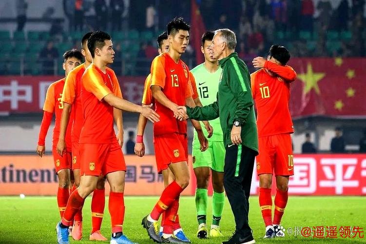 澳大利亚队主教练：中国队很有组织 中澳战会比较困难