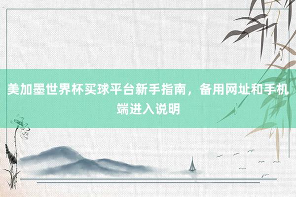 美加墨世界杯买球平台新手指南，备用网址和手机端进入说明